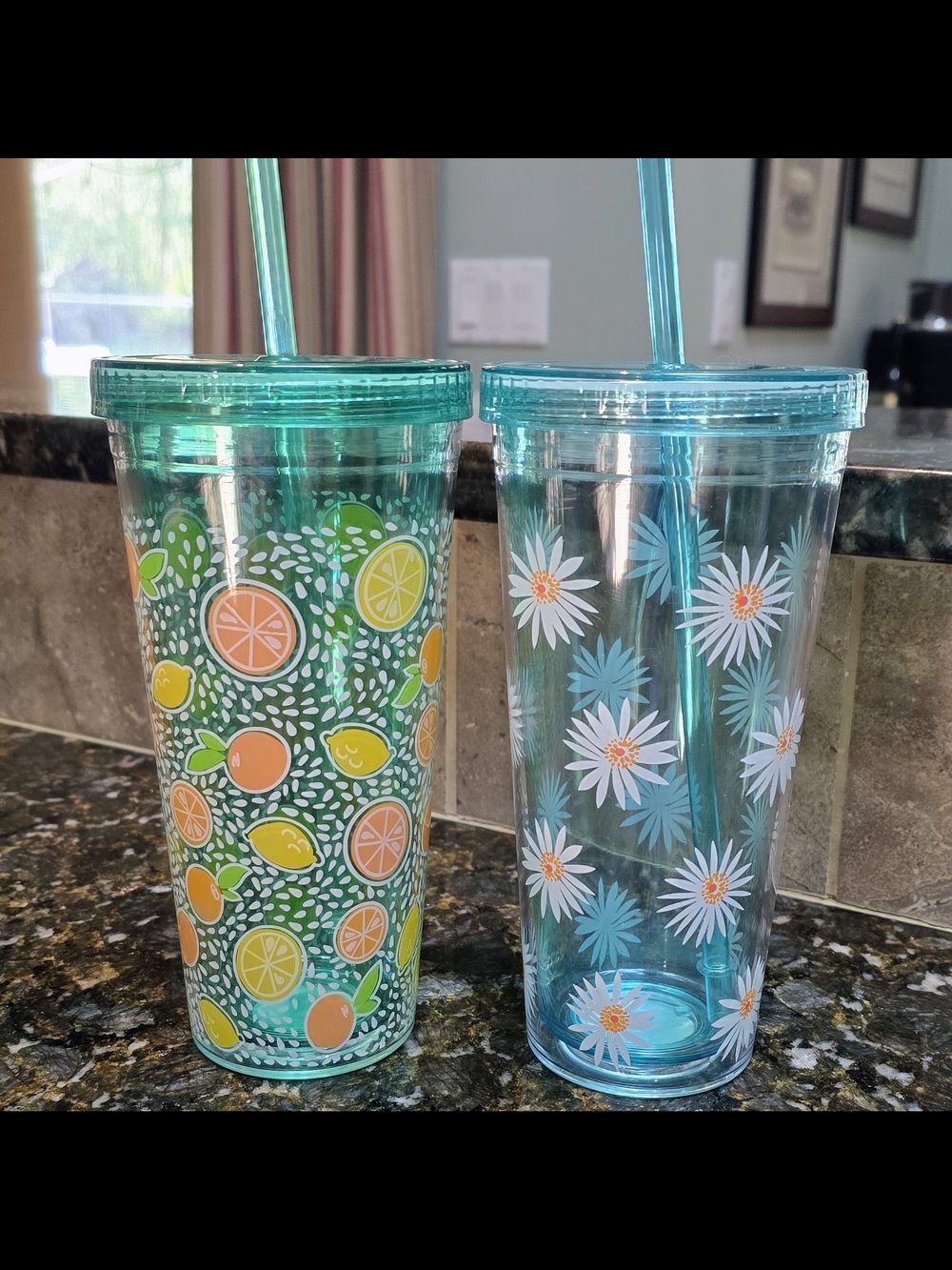 TARGET Two Tall Fruit/Floral Designs Reusable Cold Tumblers With Lids/Straws